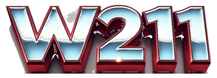 w211 logo